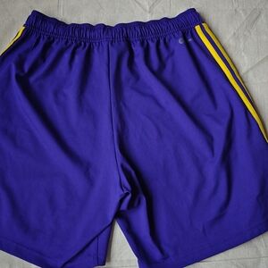 adidas Men's Athletic Shorts in Purple with Yellow Stripes